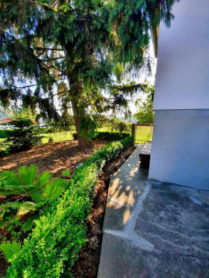 Rooms Optim Птуй Екстер'єр фото